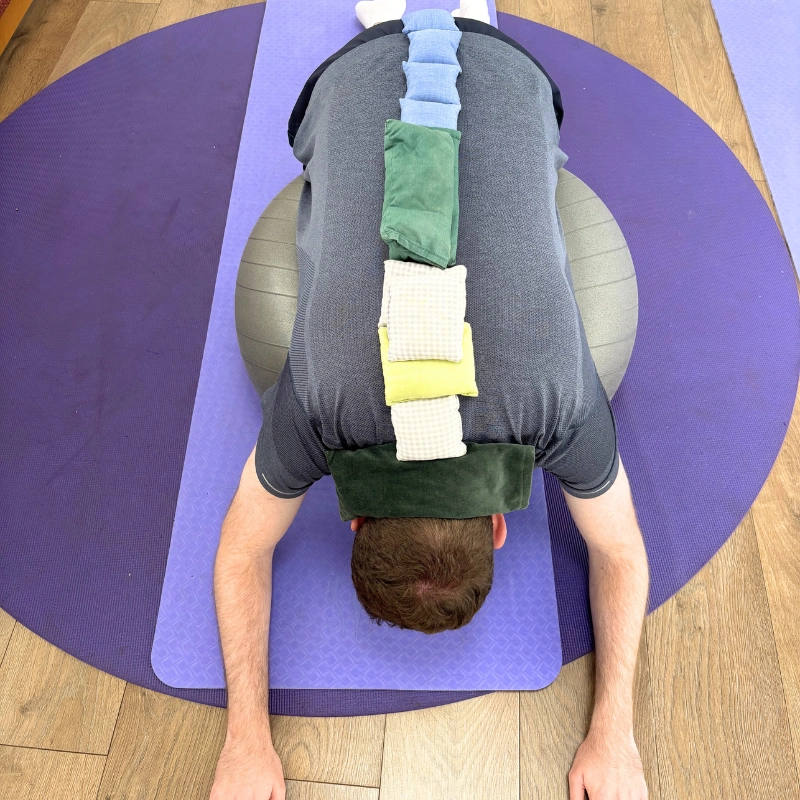 yotism_hero_images (10)